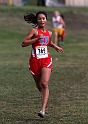 2010NCSXC GD2-2413